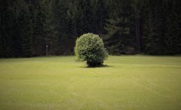 alone 