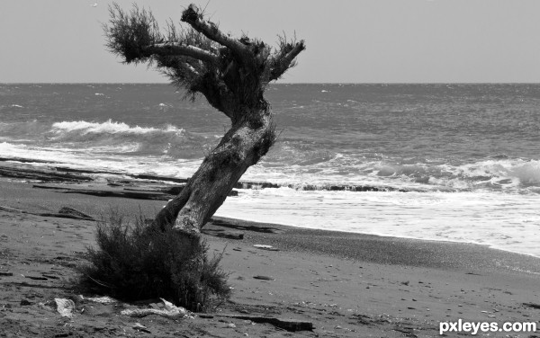 Enjoying the sea breeze