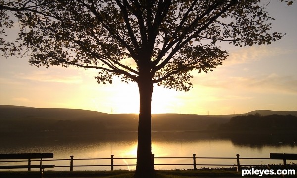 Hollingworth Lake