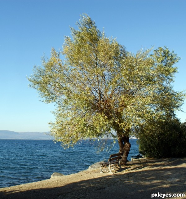 On the lake