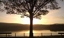 HollingworthLake