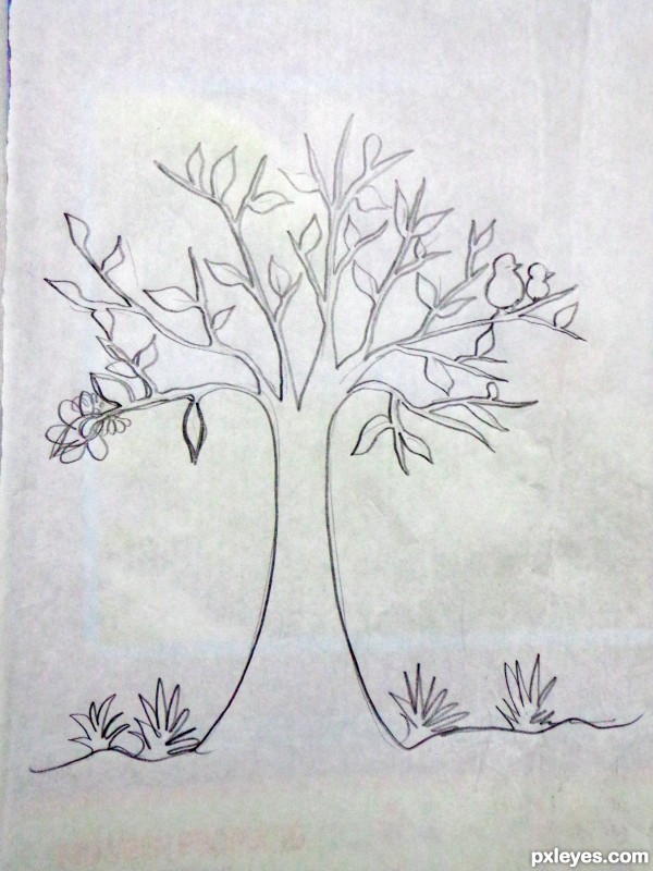 Creation of Senorita and the little birds...: Step 1