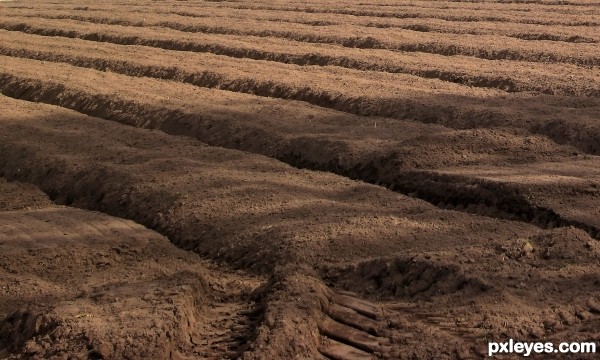 Furrows