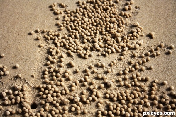 Sandballs