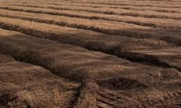 Furrows