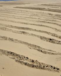 sand ridges