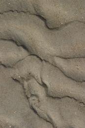 sandripples