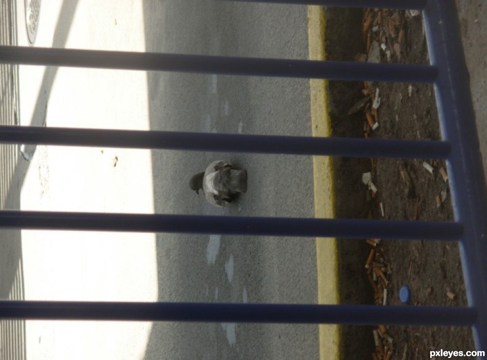 Creation of Bird and the Boat Weight (and Milk Bottle Top): Step 2