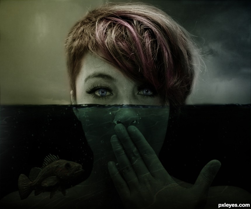 Partially Submerged photoshop picture)