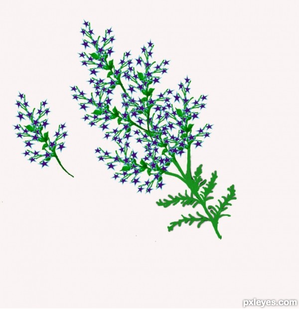 Creation of Spring Celebration  : Step 10