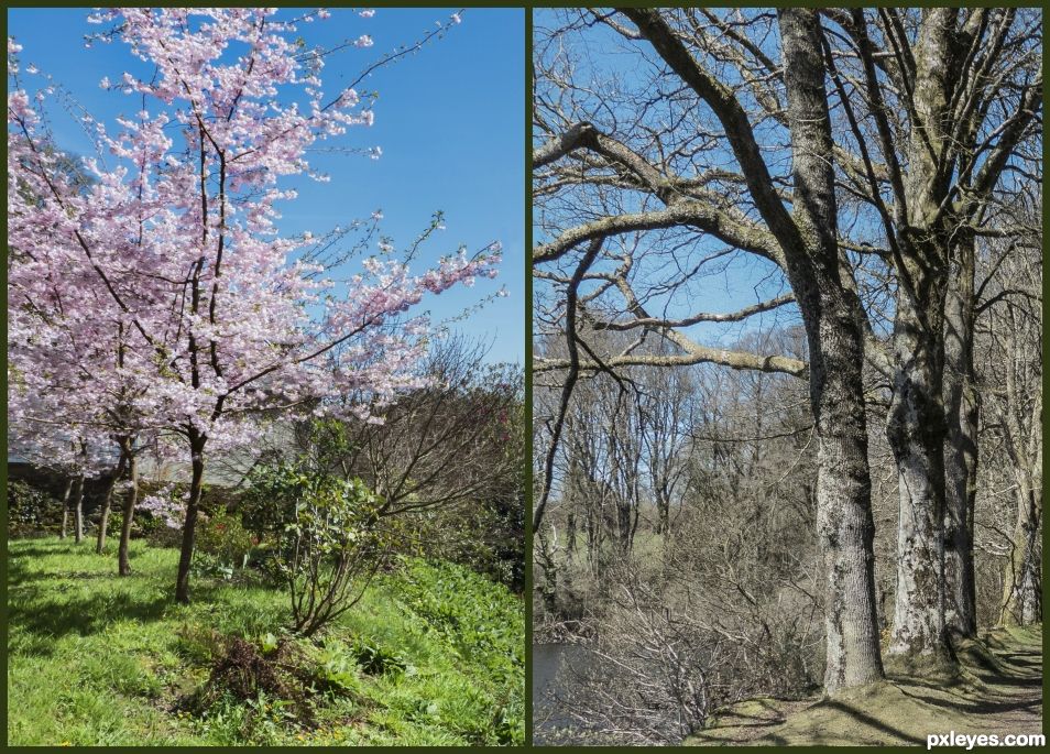 Spring and winter