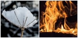 Cold & hot