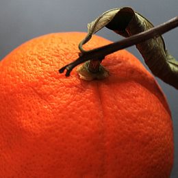 Anorange