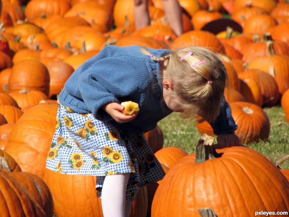 Entry number 106780 Pumpkin Girl