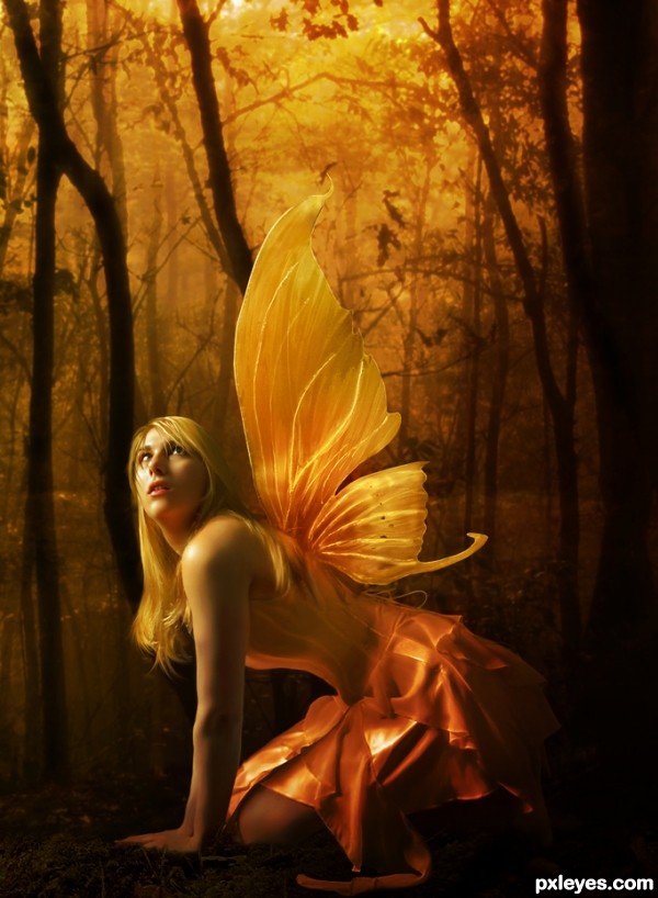 Orange Fairy photoshop picture)