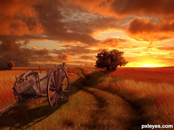 Orange Sunset photoshop picture)