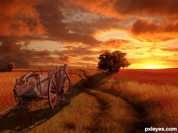 Creation of Orange Sunset: Step 7