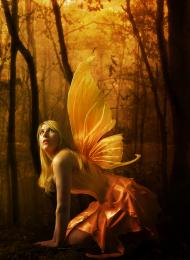 Orange Fairy