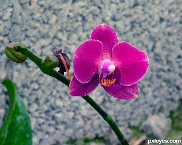 Beauty against concrete wall