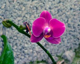 Beauty against concrete wall