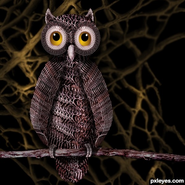 Owl