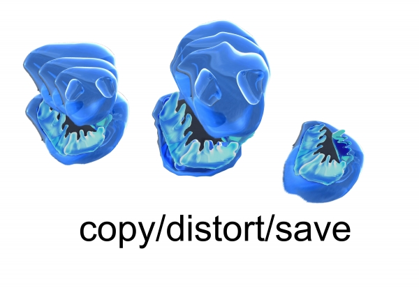 Creation of SDUS: Step 2