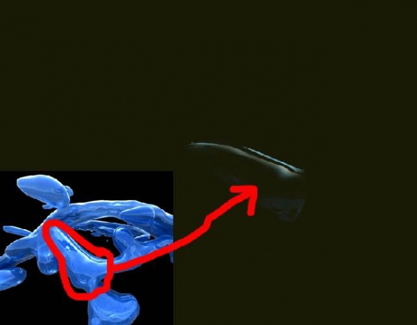 Creation of Transparent Pegasus : Step 2
