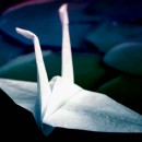 origami swan photoshop contest