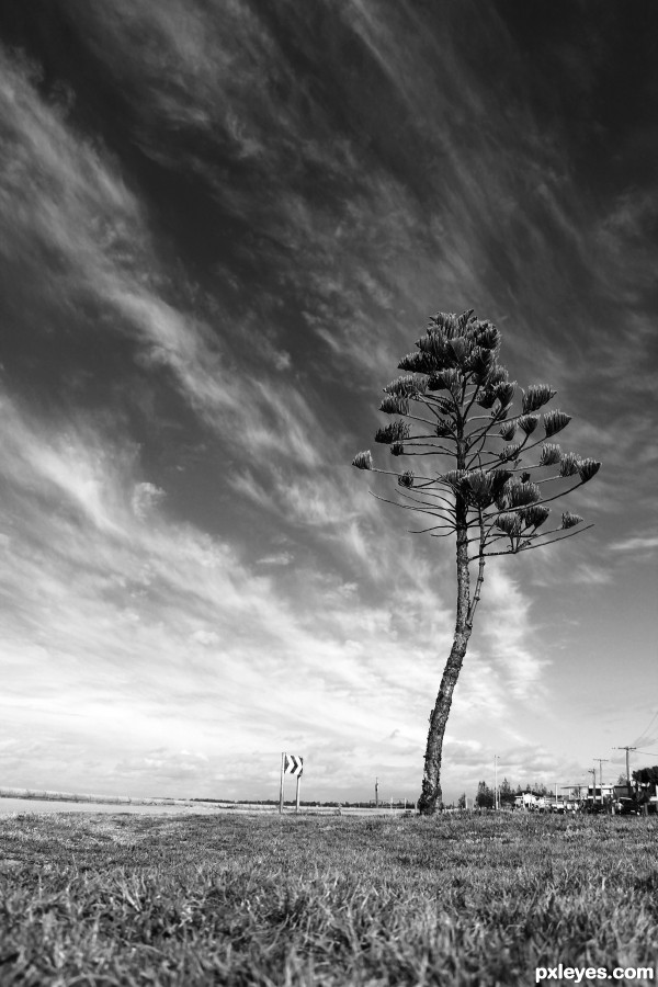 BW Tree