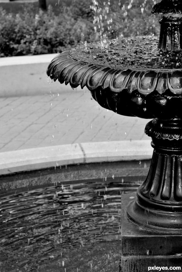 fountain.