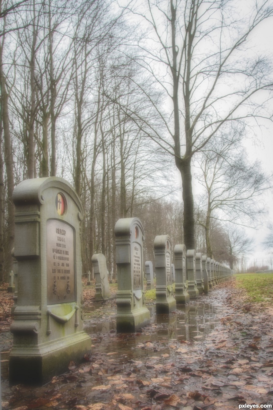 Military cementery