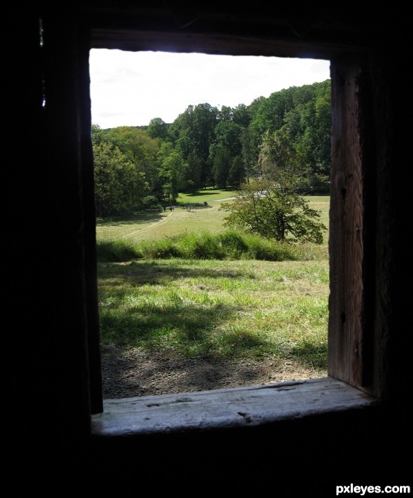 Cabin window