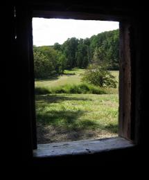 Cabin window