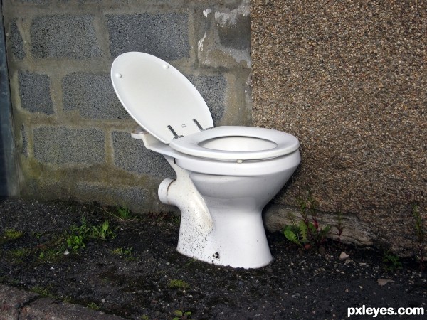 Outdoor Toilet