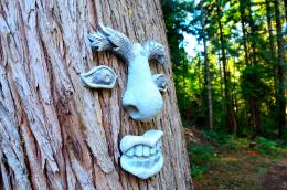 FaceintheForest