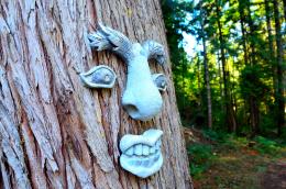 Face in the Forest 