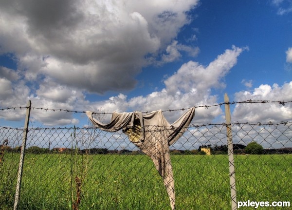 Clothesline