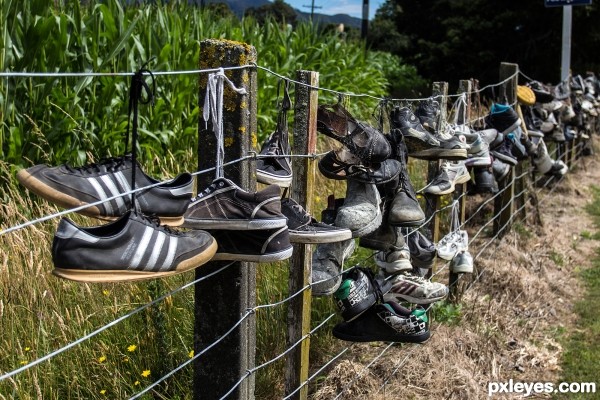 Shoe Fence