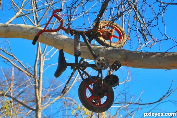 Up a Tree with a Pedal