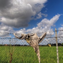 Clothesline