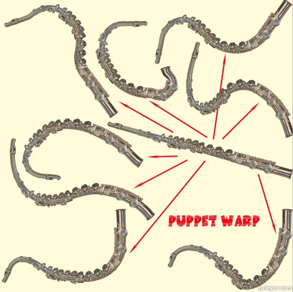 Creation of The Flute Seahorses of Delta Kern: Step 1