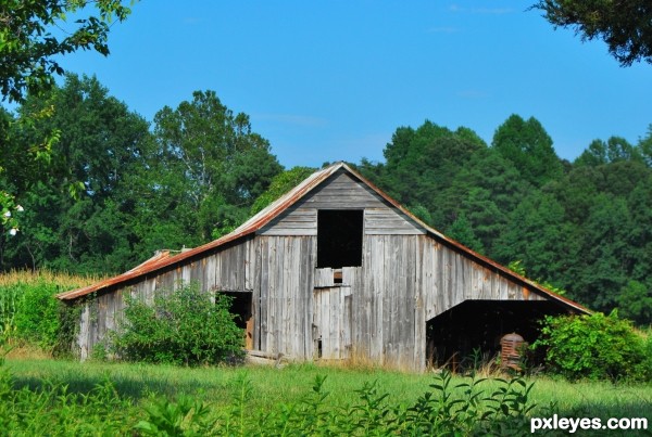 In the Country