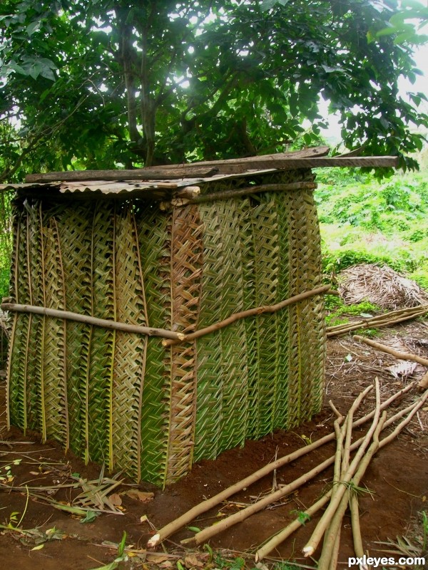 Local Island Toilet