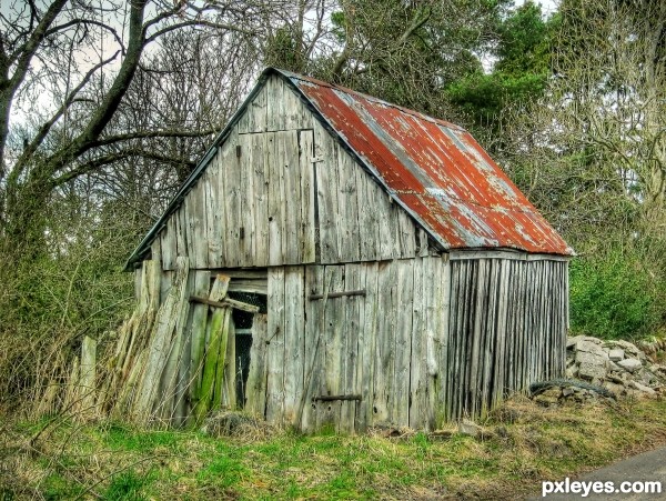 Old Shed