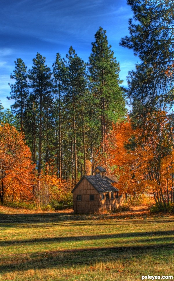 Rope tow shack