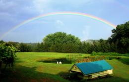 TheSpringHouse