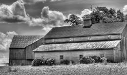 Two Barns Picture