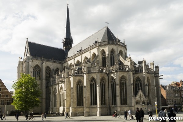 Leuven Cathedral