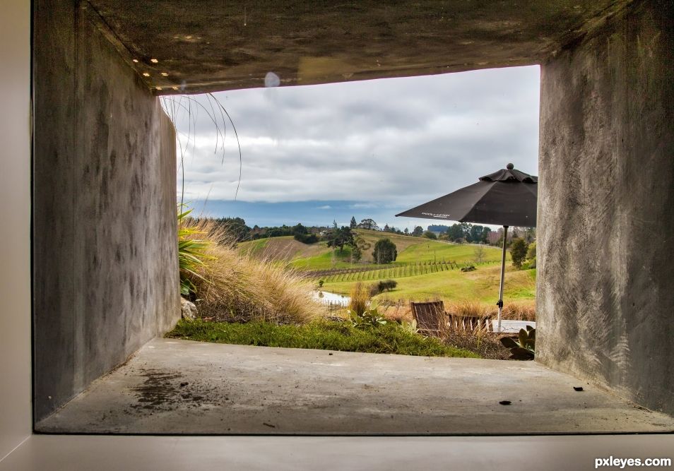 Vineyard window