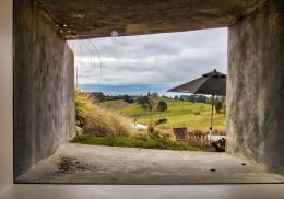 Vineyard window